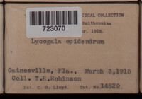 Lycogala epidendrum image